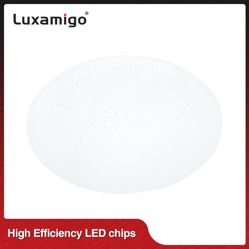 SX09 LED Ceiling Light